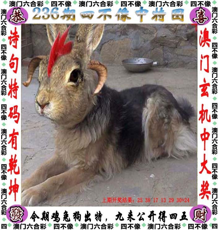 246天天好彩精选资料大全天下彩246天天好彩精选资料大全，天下彩的丰富资源-第2张图片