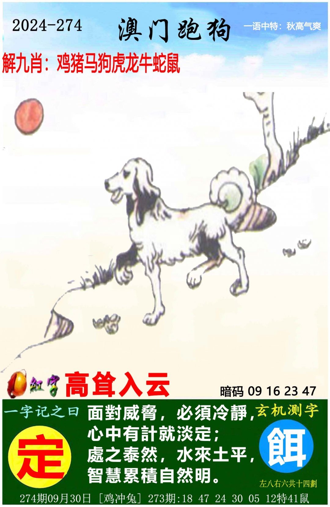 全四年老玩家心得澳门王中王2024年新澳门王中王资料概览