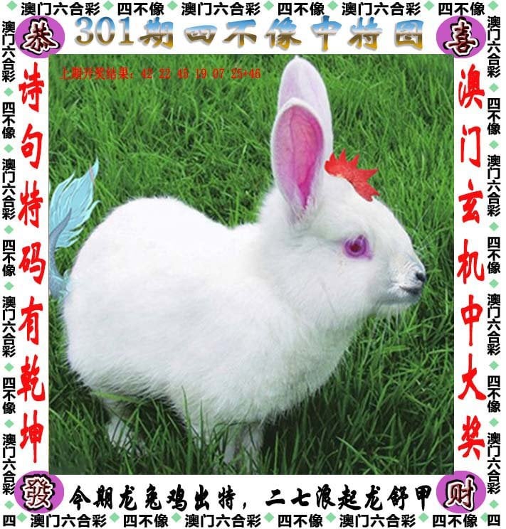天天好彩二四六944天空彩天天好彩二四六944，天空彩的奇妙之旅-第2张图片