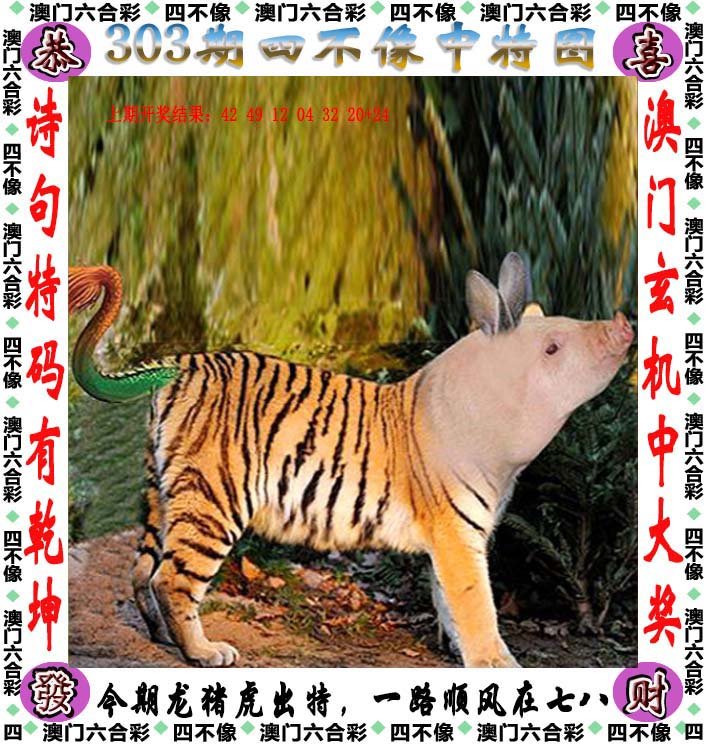 2024新奥开奖记录今天2024新奥开奖记录