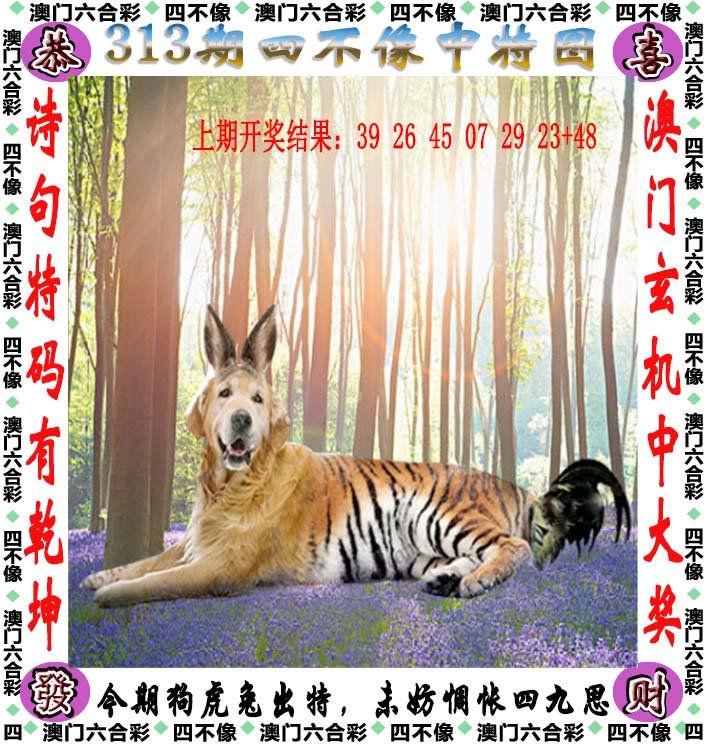 新澳门六开彩资料免费大全新澳门六开彩资料免费大全