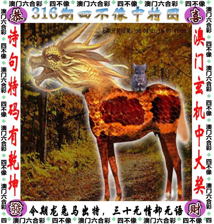 澳门最准真正最准资料澳门最准真正最准资料，探寻真相的指南-第1张图片
