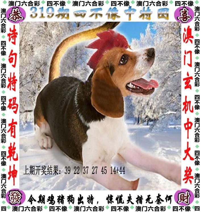 管家婆期期免费精准资料管家婆期期免费精准资料，智慧生活的必备工具