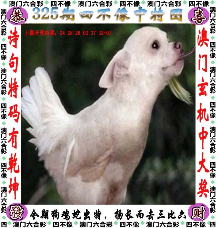 新奥彩今晚上开什么澳门彩最新一期开奖揭晓