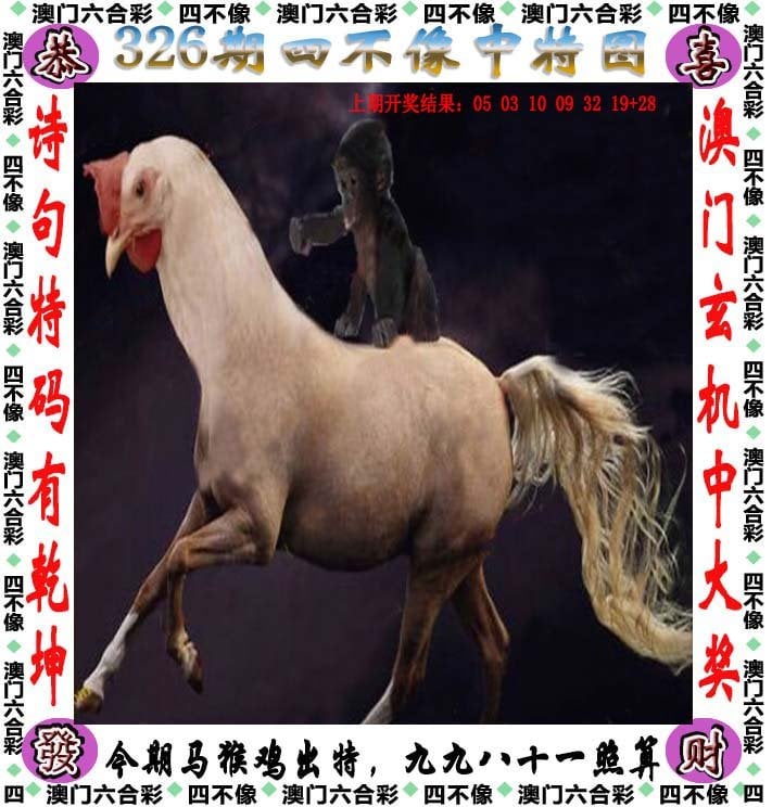 新奥天天免费资料，探索免费资源的新天地