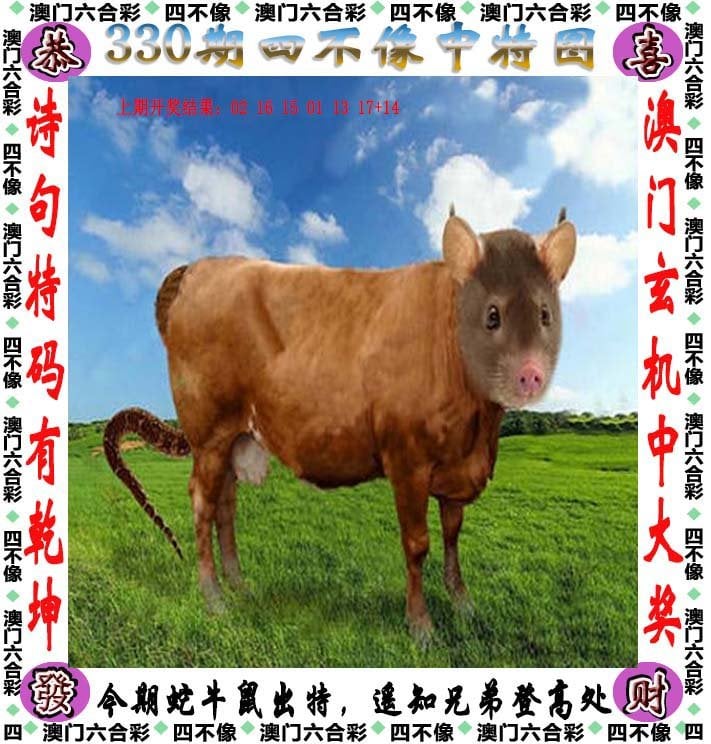 澳门最快最准的资料免费澳门最快最准的资料免费获取途径-第2张图片