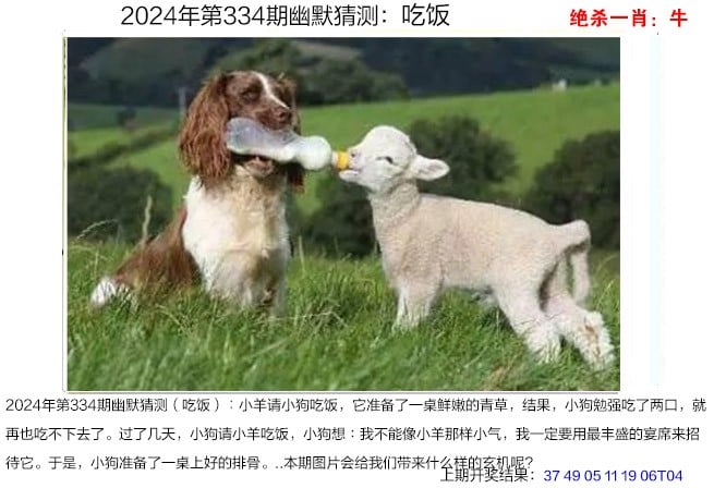 澳门六开彩天天正版免费资料大全-第2张图片