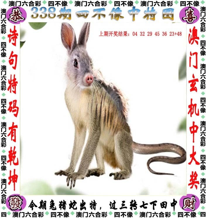 管家婆一码一肖，精准预测与幸运之选
