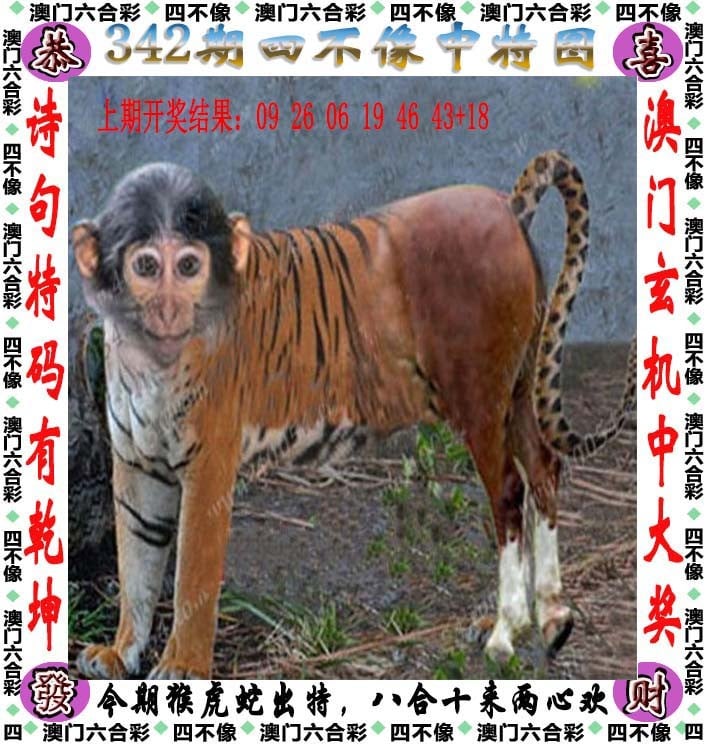 新澳正版资料与内部资料新澳正版资料与内部资料概述-第2张图片