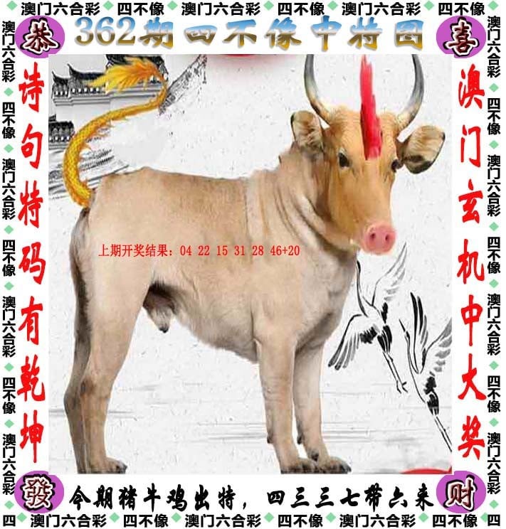 2024新奥历史开奖记录81期深度解析-第2张图片