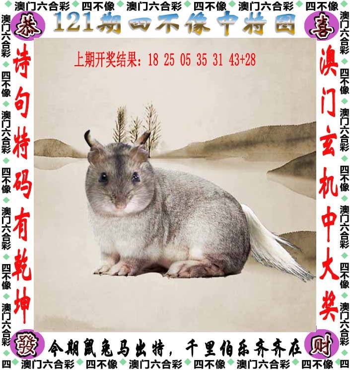 2025新澳历史记录查询入口官网新澳门历史记录查询，最近十期概述