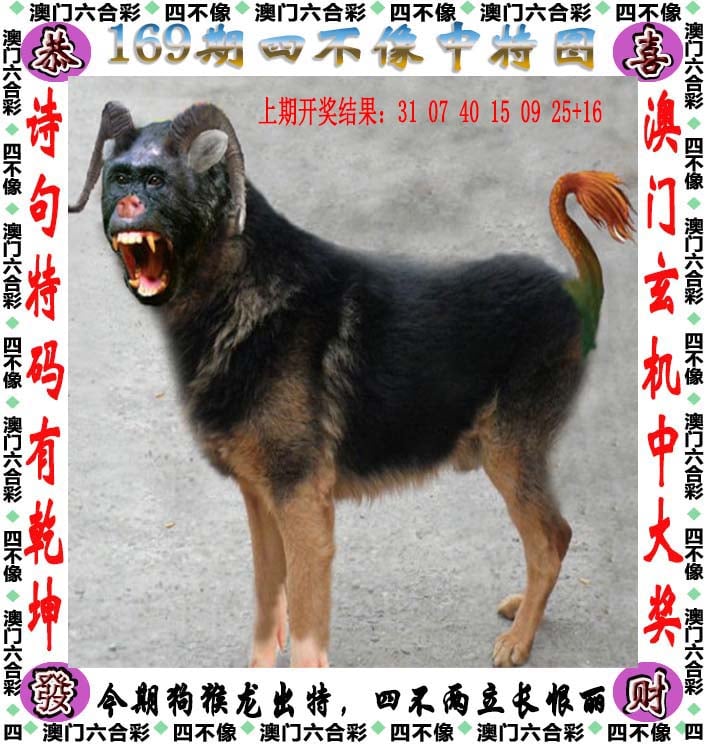 2024新奥历史开奖记录87期-第2张图片