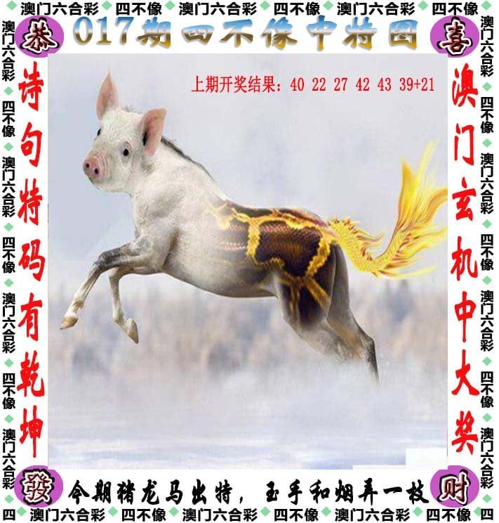 新奥天天免费资料，探索免费资源的新天地-第2张图片