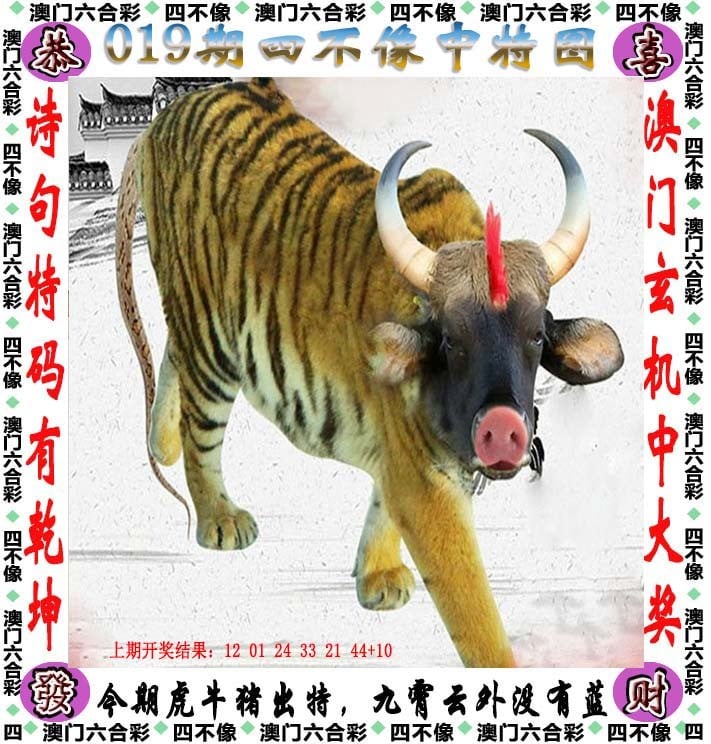 澳门天天六开彩内部资料澳门天天六开彩内部资料，揭秘彩票背后的神秘世界-第2张图片