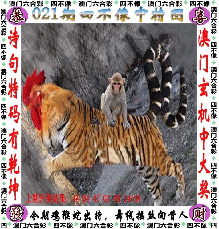 一肖中特免费资料公开选料-第3张图片