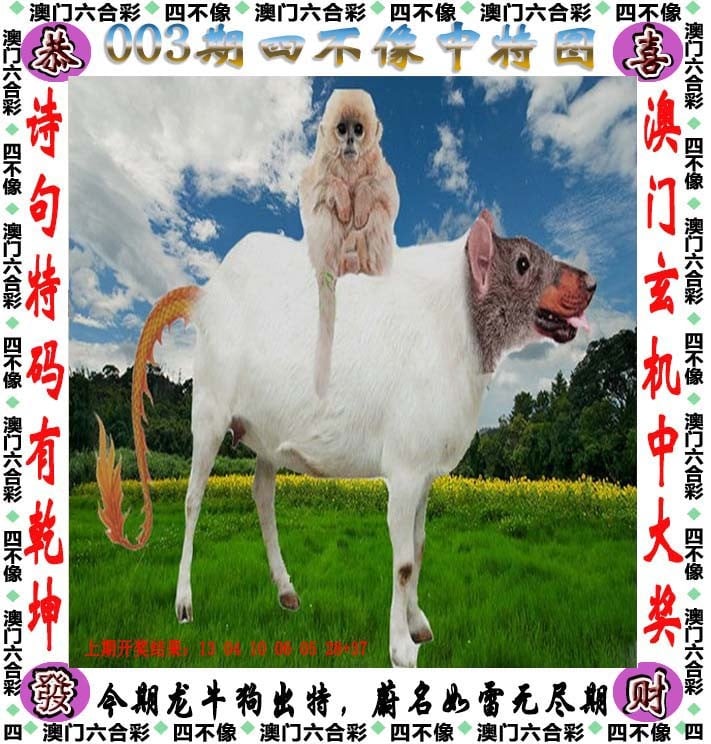 246天天好彩精选资料大全，天下彩的丰富资源