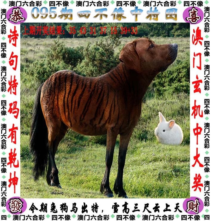 2021今晚已开特马结果2021今晚已开特马结果回顾