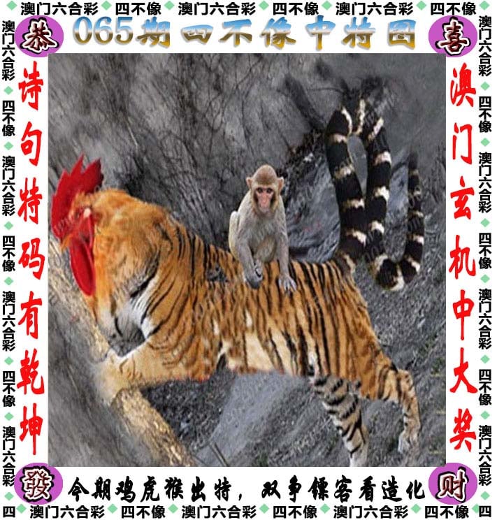 2023今晚澳门特马开2023澳门特马之夜，璀璨璀璨的盛宴