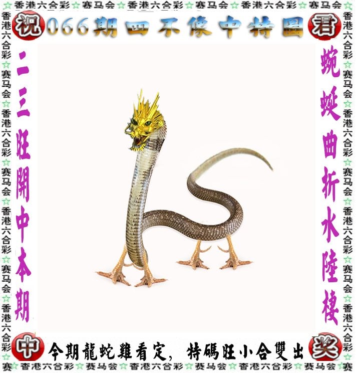 开奖特马料开奖特马料，揭秘神秘大奖的秘密