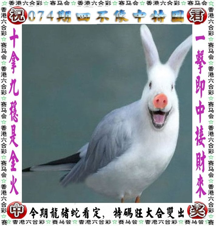 澳门开奖结果记录历史澳门开奖结果记录历史回顾-第2张图片