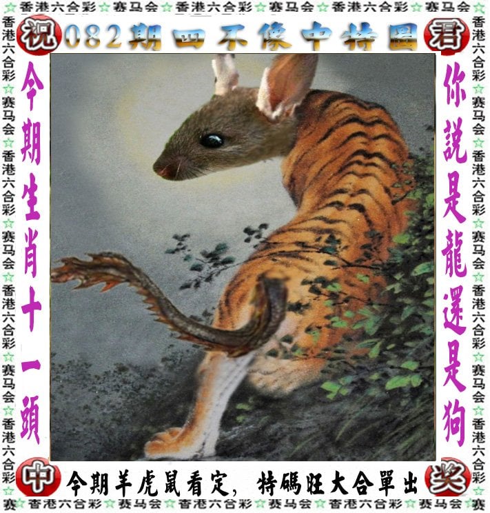 管家婆精选心水资料站管家婆精选心水资料站——一站式资料库-第1张图片