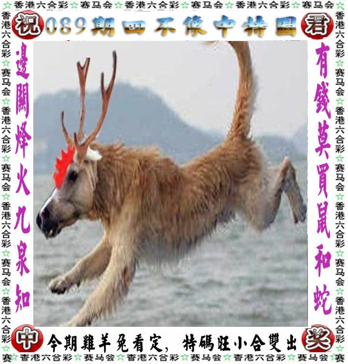 2023一码一肖100准确预测