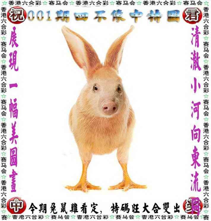 新澳2024管家婆资料-第3张图片