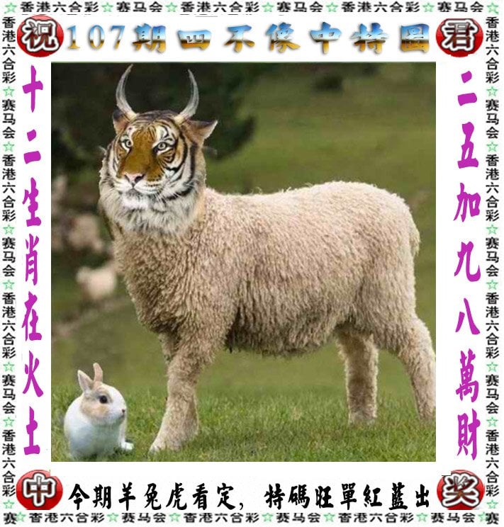 一码三中三 全年一码三中三免费网站介绍