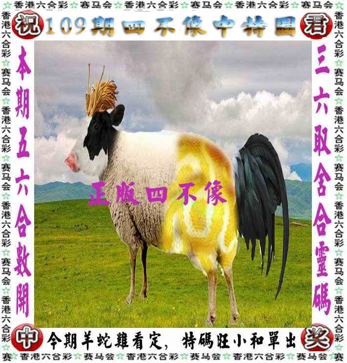 管家婆正版图片大全318管家婆正版图片大全