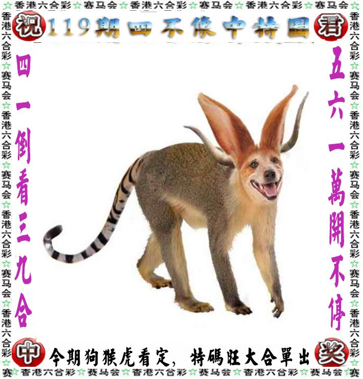 精选好彩二四六天天好彩-第2张图片
