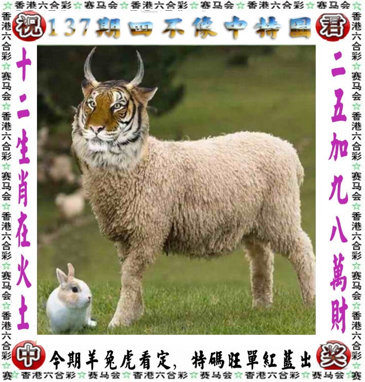 142期澳门网新澳门2024年资料大全，官家婆版-第2张图片