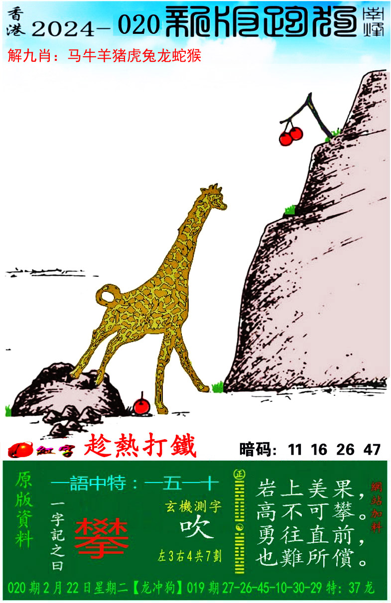 新址246天天好彩图资料