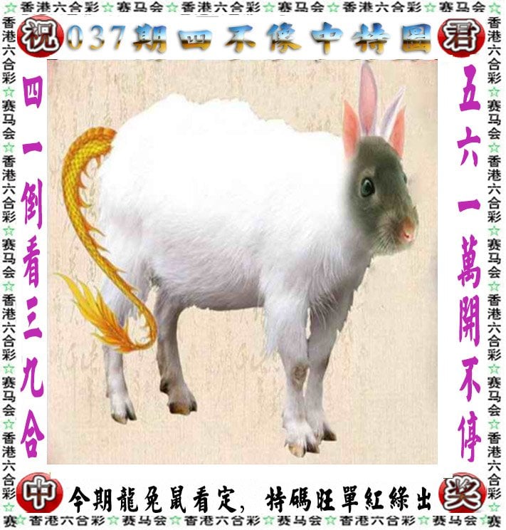 今晚香港开什么码145期今晚香港开码活动盛况揭晓-第2张图片