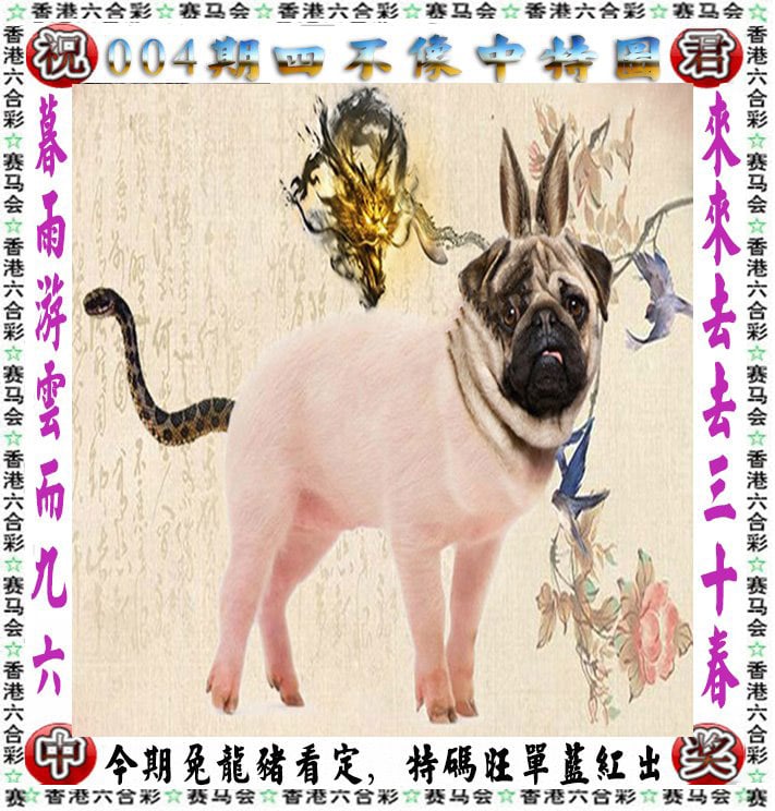 2023香港开奖记录历史12月份2023香港开奖记录回顾