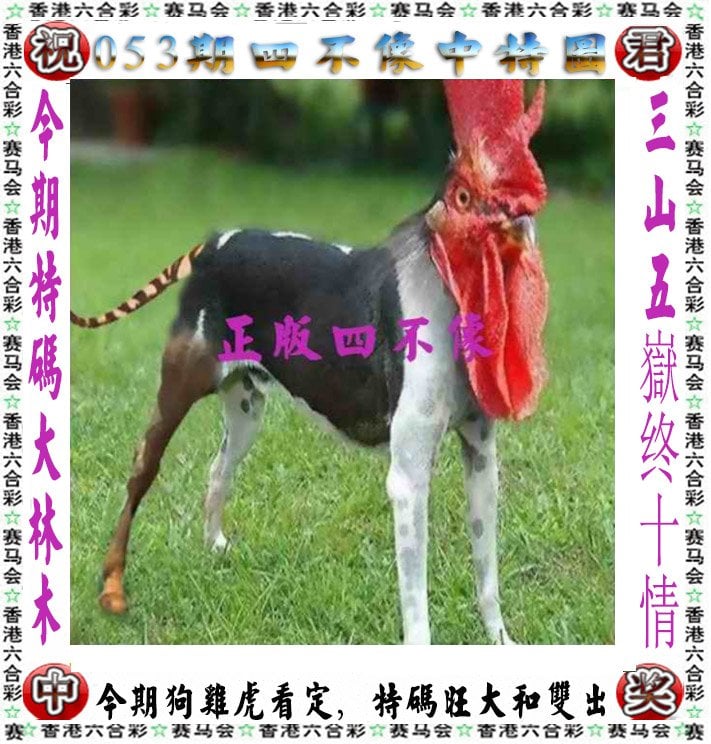 婆家一肖一码100‰中奖2023年澳门开奖结果回顾-第2张图片