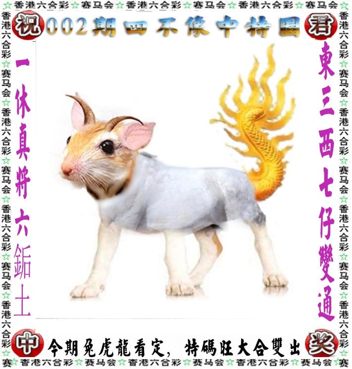 四肖八码期期准资料免费四肖八码期期准资料免费介绍-第3张图片