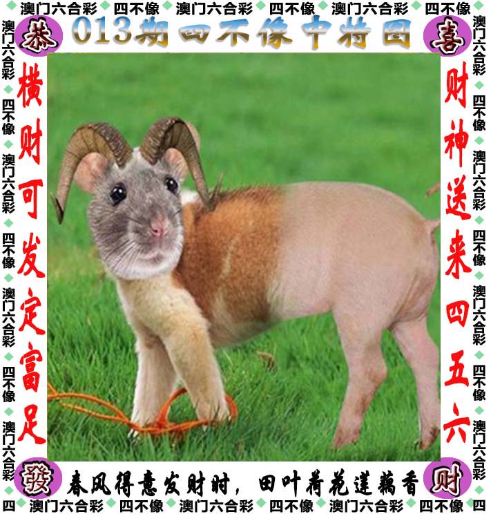 2021澳门免费资料大全手机网站2021澳门免费资料大全手机网站推荐-第2张图片