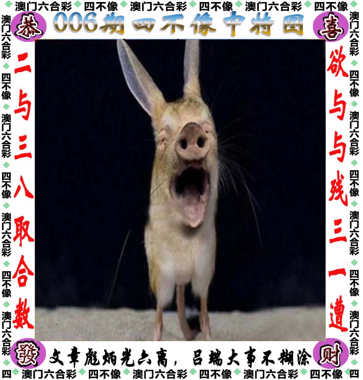 刘伯温精选料二四六天天好彩刘伯温精选料二四六天天好彩-第2张图片