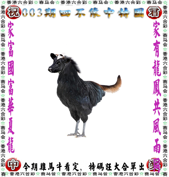 好彩论坛，探索网络交流的新天地