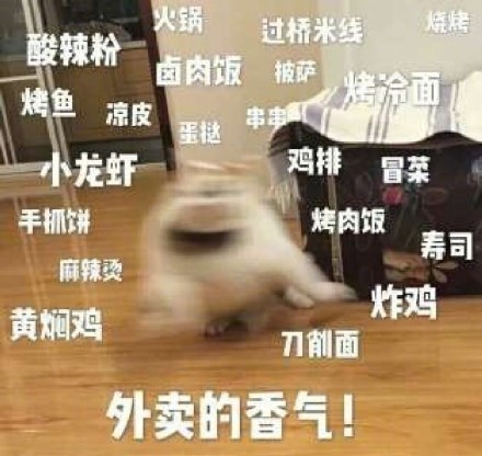 肠妃回宫表情包肠妃回宫-第3张图片