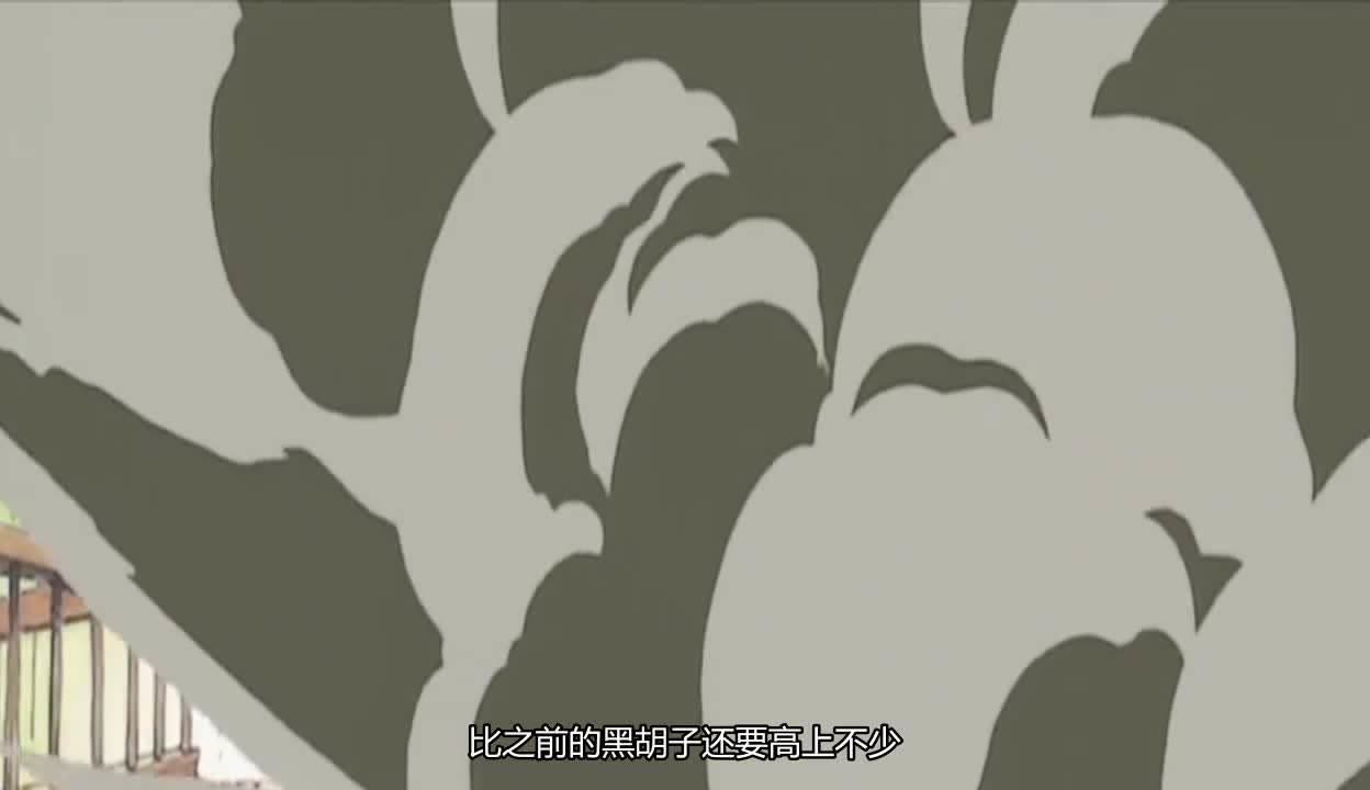 动漫情报，探寻神秘世界