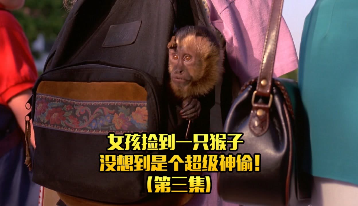 超级神偷，神秘行动背后的故事