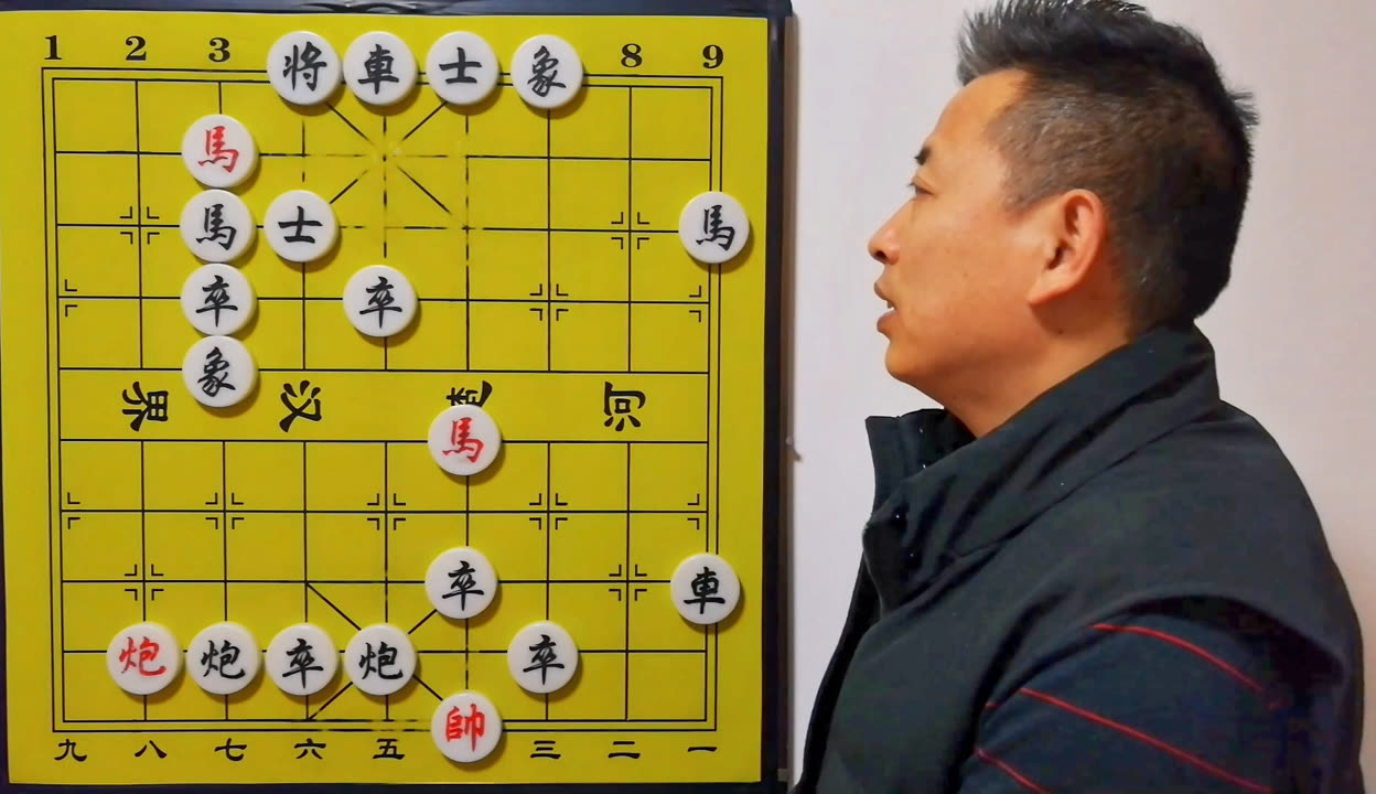 平码专区论坛开奖号码直播平码专区，数字游戏的新天地