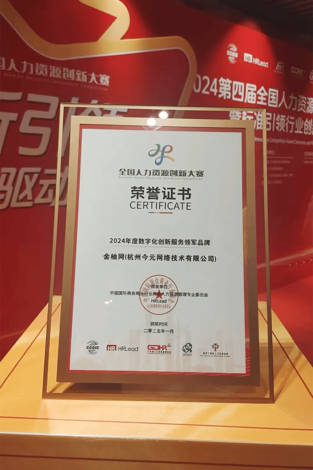 金鹰网站金鹰网站，引领网络新时代-第3张图片