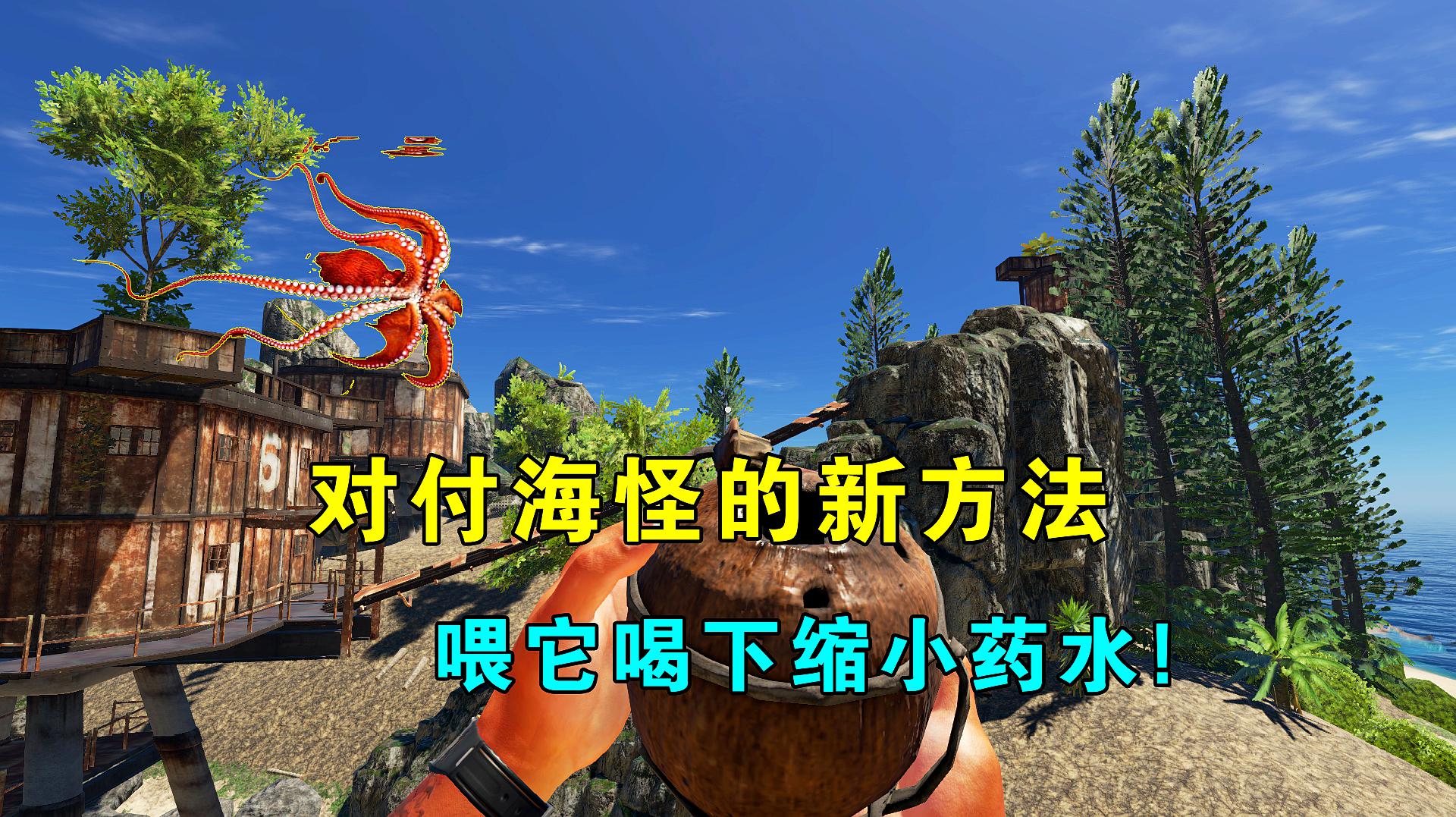 三国求生三国求生，危机中的生存策略-第2张图片