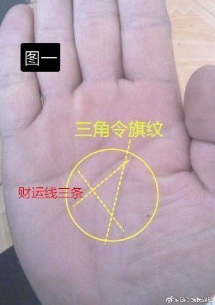 手相没有事业线解析-第2张图片