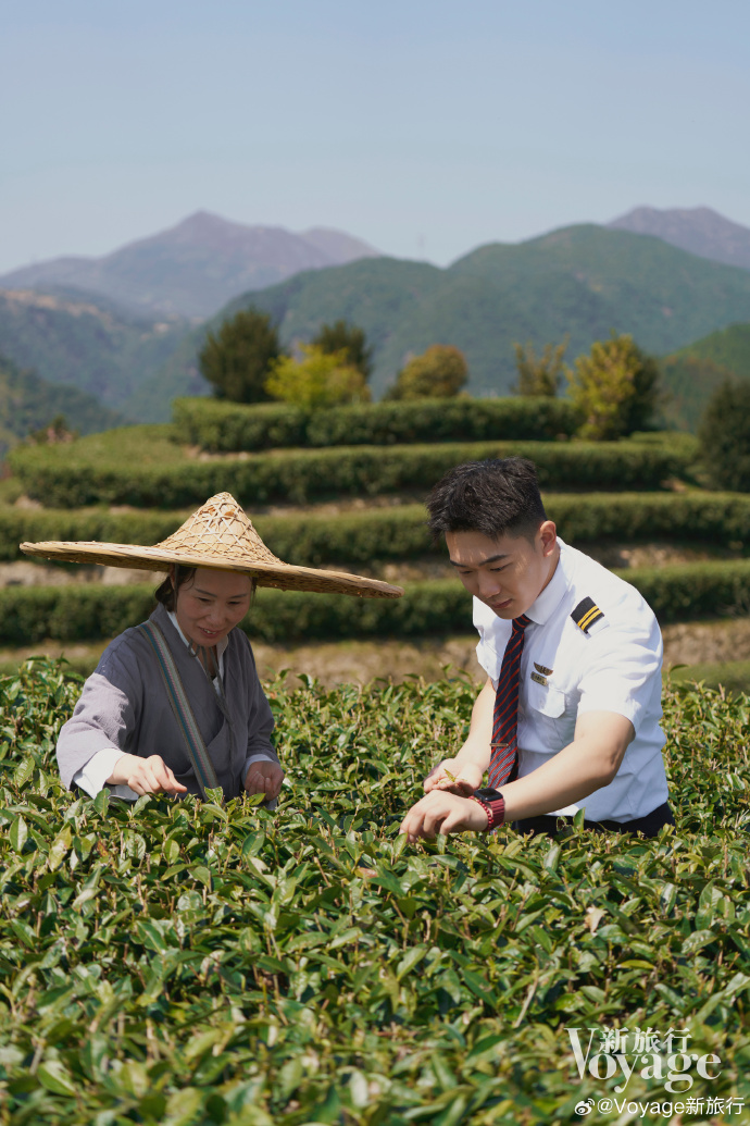 茶叶可以带上飞机吗不托运茶叶能否带上飞机