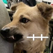 东鳞西爪，品味生活中的美好瞬间-第2张图片