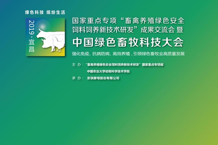 鲸享橙鲸享橙，绿色科技与健康生活的完美融合