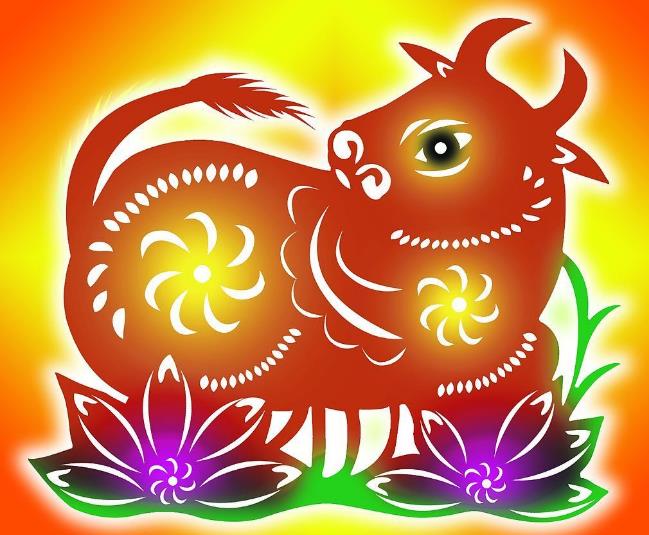 97年属牛女动婚时间揭秘